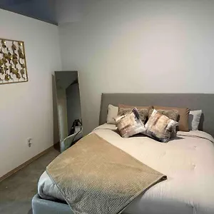 https://luxury-cozy-loft-downtown-saint-louis.saint-louishotels.com